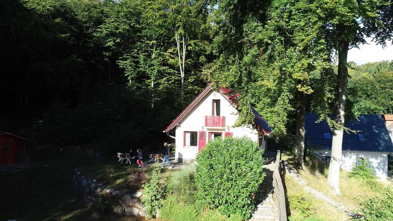 Ferienhaus Rotkaeppchen Villa Sellin  Ngoại thất bức ảnh